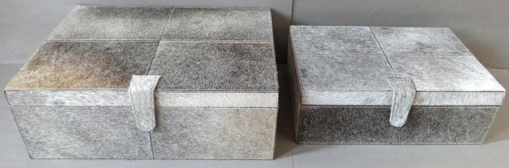 Gray Hair on Rectangle Box Set